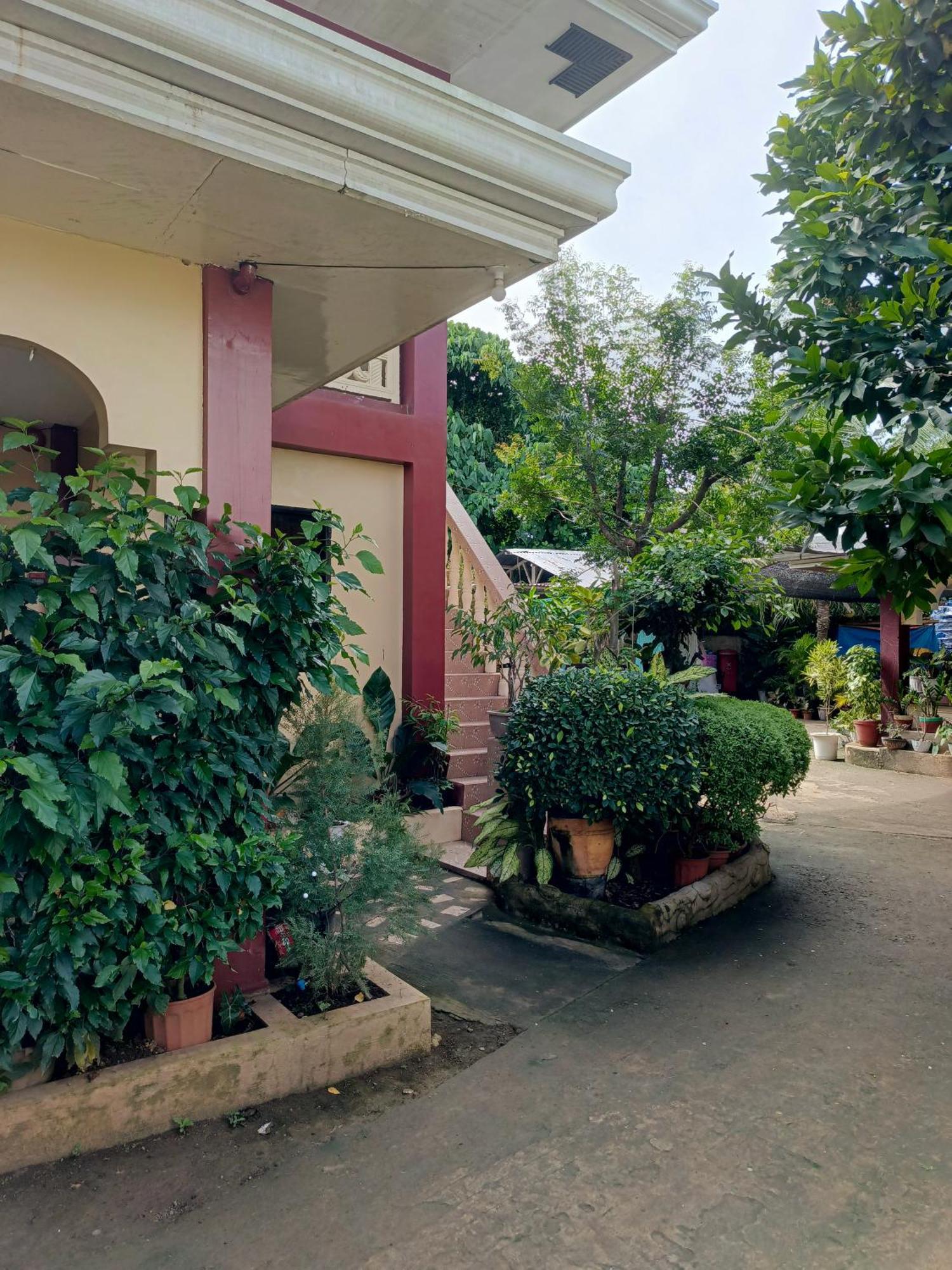 Peace Lily Studio Apartments Панглао Екстериор снимка